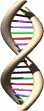 01_21_w.gif (16420 bytes)