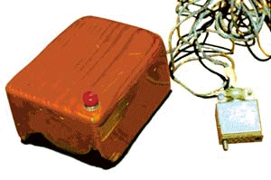 First Mouse.gif (29094 bytes)