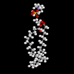 Phospholipid