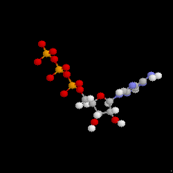 ATP3